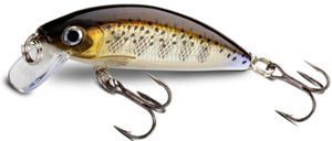 rapala_x rap_cd_head