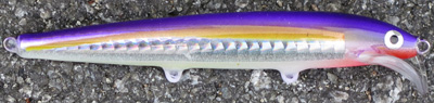 rapala scatter minnow custom 11