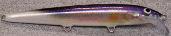 rapala scatter minnow custom 03