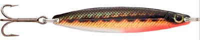 møresilda holo trout HM
