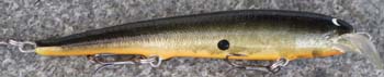 lappia vaaput_taimen 11cm-336