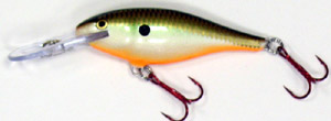 rapala_shad rap TSD