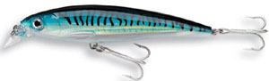 rapala_x-rap_SW_SBM