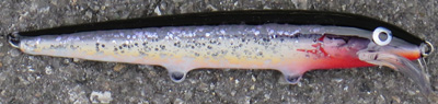 rapala scatter minnow custom 10