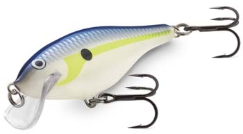 rapala_scatter rap_shad_head