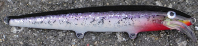 rapala scatter minnow custom 16