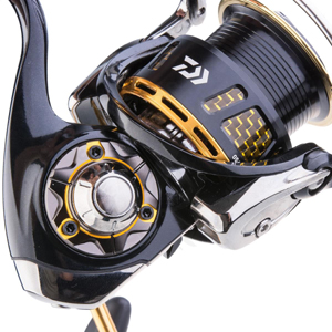 daiwa morethan 3