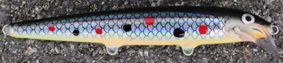 rapala scatter minnow custom 25