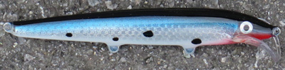 rapala scatter minnow custom 07