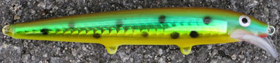 rapala scatter minnow custom 24