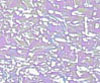 wtp tape decor 36534 crushed ice