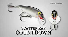 scatter rap cd