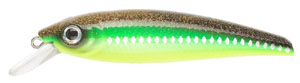 Prey Target 02 uv greenlander