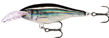 rapala scatter shad rap deep SMHL