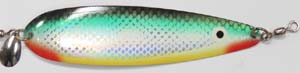 tomic_spoon_road runner_1038