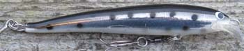 lappia vaaput_taimen 11cm-335