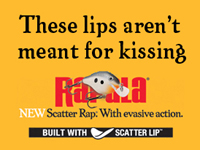scatter not for kissing