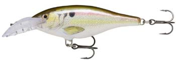 rapala scatter shad rap deep RSL