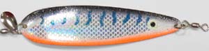 tomic_spoon_road runner_1088