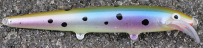 rapala scatter minnow custom 28