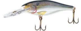 rapala_shad rap SD