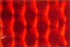 wtp tape decor 3625 prisme rød