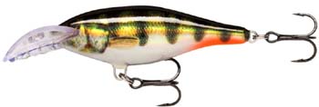 rapala scatter shad rap deep PEHL