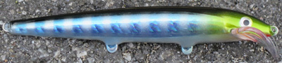 rapala scatter minnow custom 22