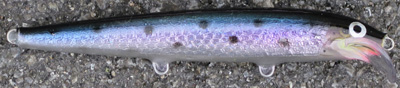 rapala scatter minnow custom 17