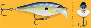 rapala_scatter rap_shad.jpg