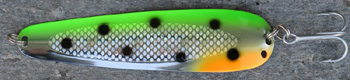 magnum tiura 497 S